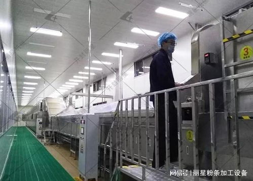 洋芋粉絲粉條機選購指南 性能、服務、價格如何權衡，告別后悔選擇